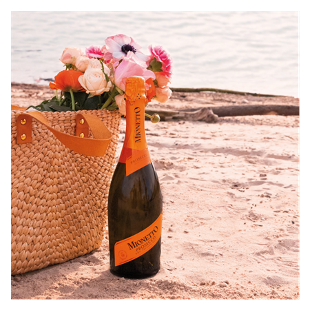 Prosecco Organic Treviso