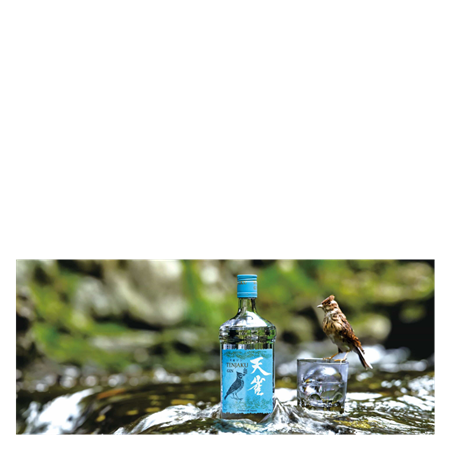 Japanese Gin
