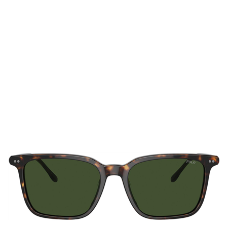 Polo® Aurinkolasit Shiny Dark Dark havana, dark green lenses