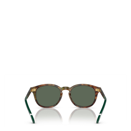 Polo® Shiny Solglasögon Brown tortoise, bottle green lenses