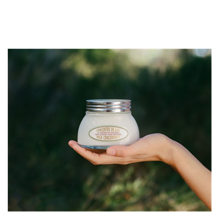 Almond Milk Concentrate