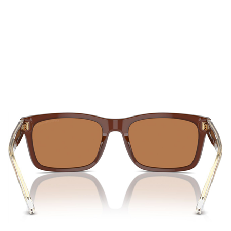 Emporio Armani® Aurinkolasit Shiny Opaline Brown Brown lenses