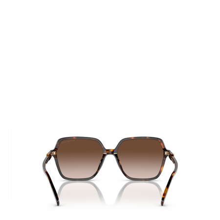 Michael Kors Jasper Solglasögon Dark tortoise, brown lenses