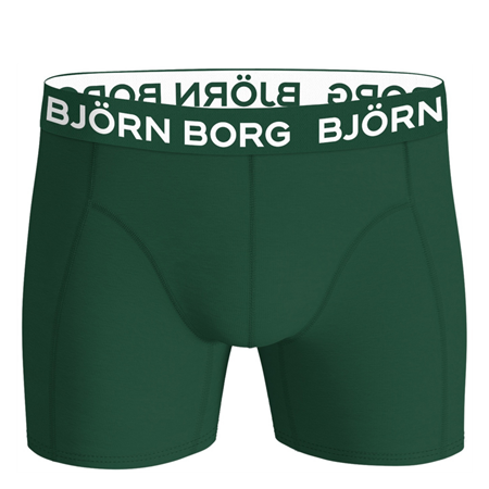 Poikien bokserit 2-pack green