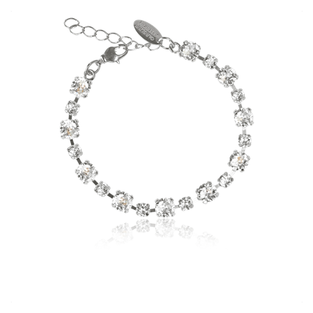 Calanthe rannekoru Crystal / rhodium