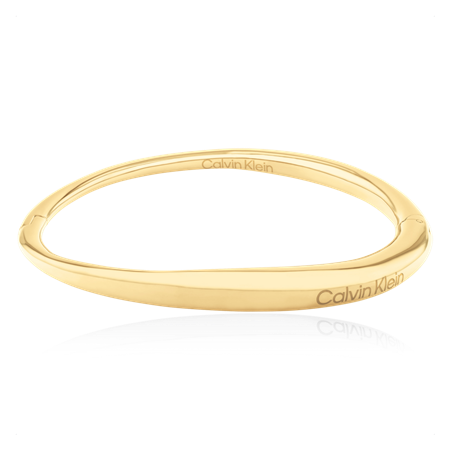 CK Bangle rannekoru Ionic plated thin / gold steel