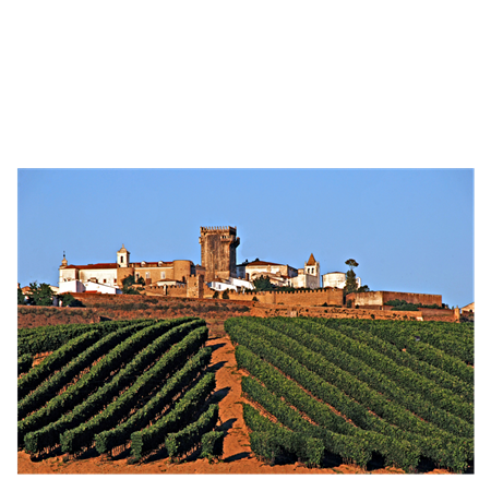 Reserva Red Blend