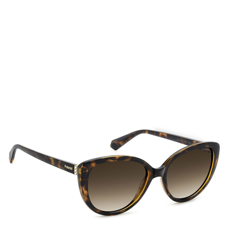 Polaroid Solbriller Havana, brown gradient polarized lenses
