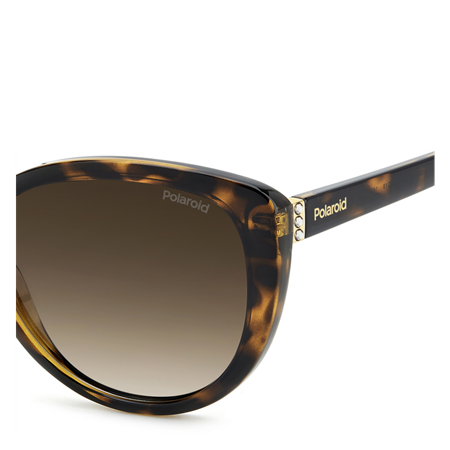 Polaroid Solbriller Havana, brown gradient polarized lenses