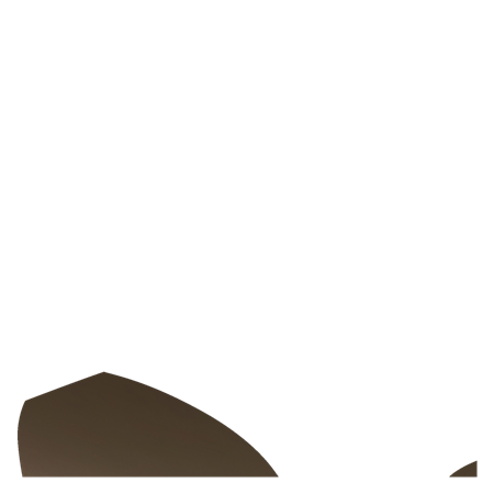 Polaroid Solbriller Havana, brown gradient polarized lenses