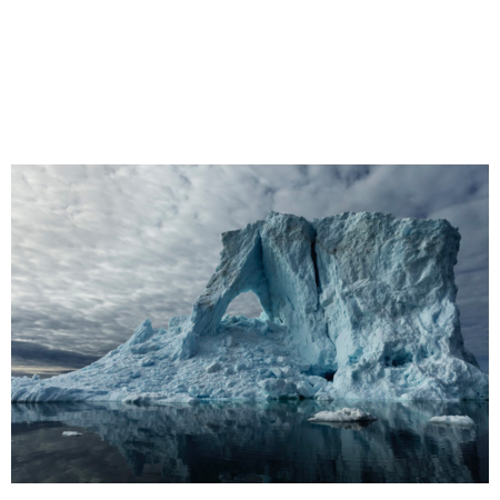 WILD Arctic billedsamling