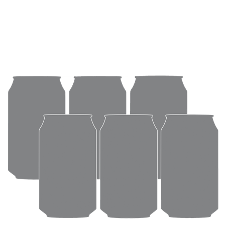 Pilsner 6x33 cl