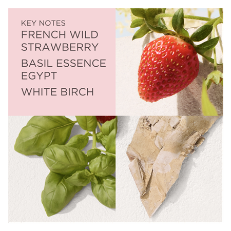 Green Tea Strawberry Basil EdT
