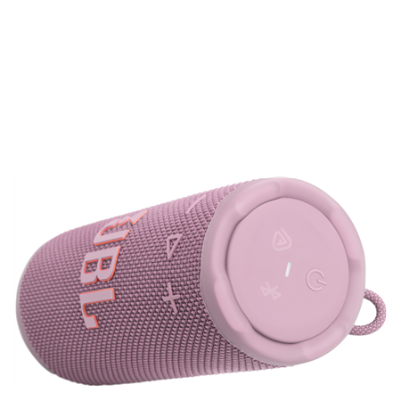 Grip vanntett høyttaler Rose