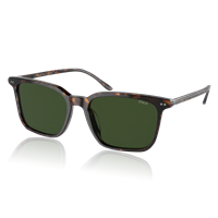 POLO Polo® Aurinkolasit Shiny Dark Dark havana, dark green lenses