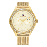 TOMMY HILFIGER Hilfiger ur Golden mesh bracelet