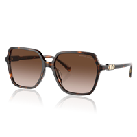 MICHAEL KORS Michael Kors Jasper Solglasögon Dark tortoise, brown lenses
