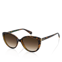 POLAROID Polaroid Solbriller Havana, brown gradient polarized lenses